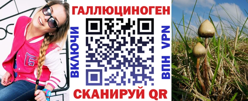 наркошоп  Вязьма  Псилоцибиновые грибы Magic Shrooms 
